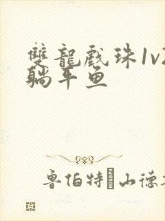 双龙戏珠1v2躺平鱼