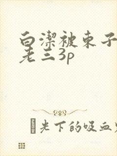 白洁被东子老二老三3p封面