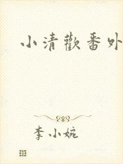 小清欢番外封面