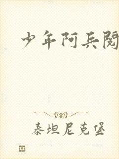 少年阿兵阅读封面