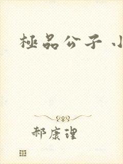 极品公子 小说