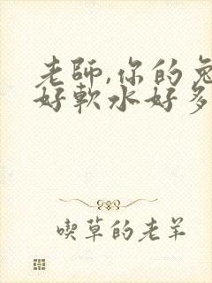 老师,你的兔子好软水好多封面