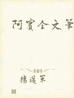 阿宾全文笔趣阁