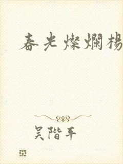 春光灿烂杨家将