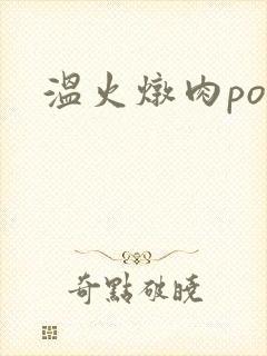 温火炖肉pop