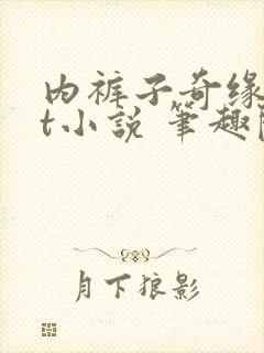 内裤子奇缘txt小说 笔趣阁