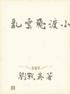 乱云飞渡小说