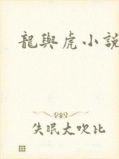 龙与虎小说封面