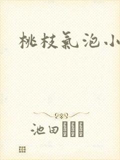桃枝气泡小说