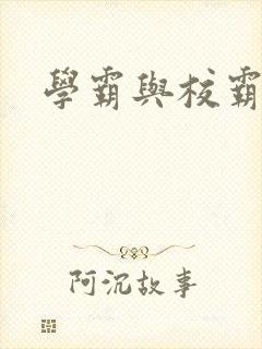 学霸与校霸