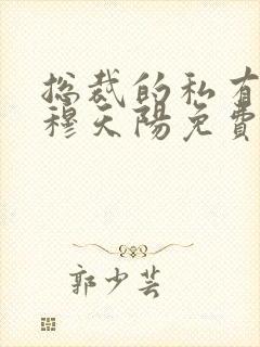 总裁的私有宝贝穆天阳免费封面