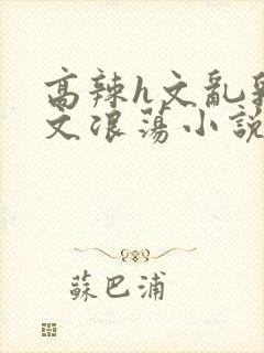 高辣h文乱乳h文浪荡小说苏柔