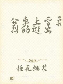 公车上雪柔被猛烈的进出