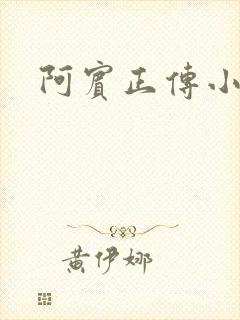 阿宾正传小说