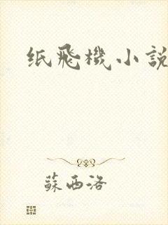 纸飞机小说