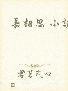 长相思 小说
