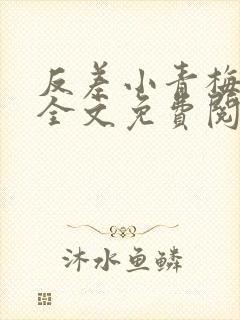 反差小青梅小说全文免费阅读封面