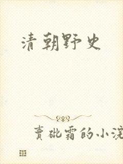 清朝野史