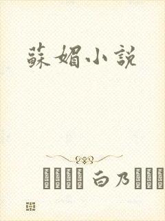 苏媚小说封面