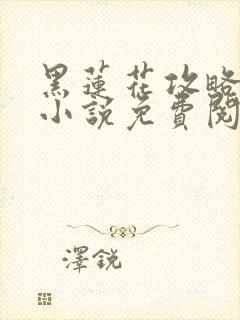 黑莲花攻略手册小说免费阅读全文封面