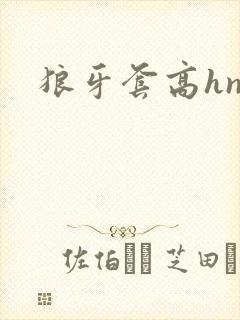 狼牙套高hnp