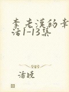 李老汉的幸福生活1-13集封面