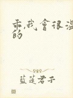乖,我会很温柔的封面
