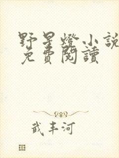 野星灯小说全文免费阅读