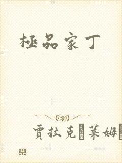 极品家丁封面