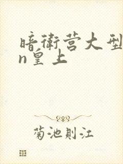 暗卫营大型hpn皇上封面