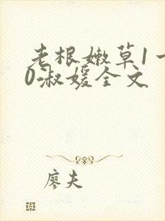 老根嫩草1一40淑媛全文封面