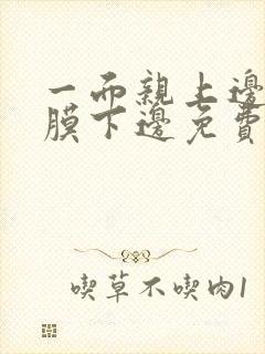 一面亲上边一面膜下边免费阅读