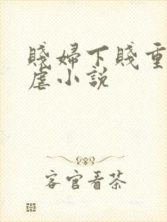 贱妇下贱重口玩虐小说封面