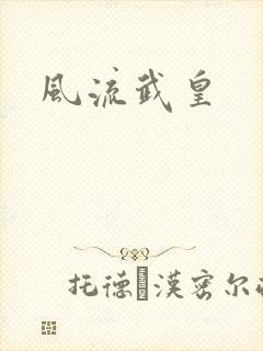 风流武皇