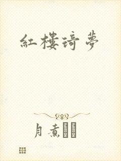 红楼琦梦