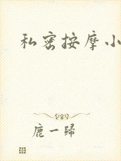 私密按摩小说