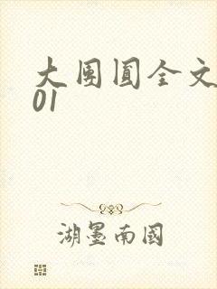 大团圆全文阅读01封面