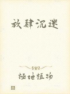 放肆沉迷封面