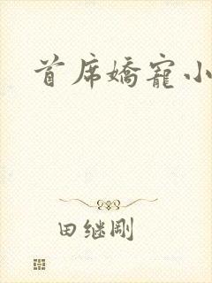 首席娇宠小情人封面