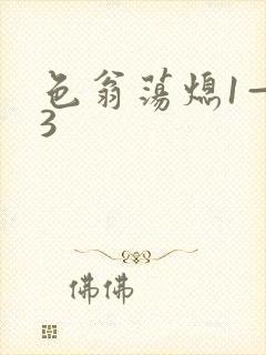 色翁荡熄1—13封面