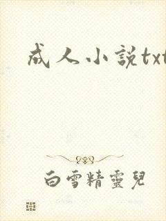 成人小说txt