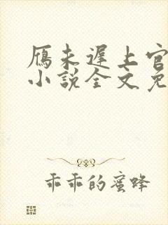 雁未迟上官穿越小说全文免费阅读封面