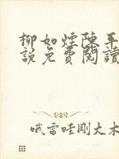 柳如烟陈平安小说免费阅读全文