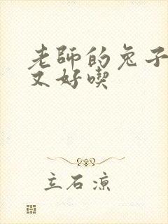 老师的兔子又大又好吃封面