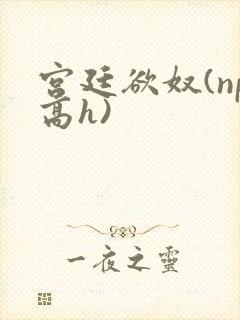 宫廷欲奴(np高h)