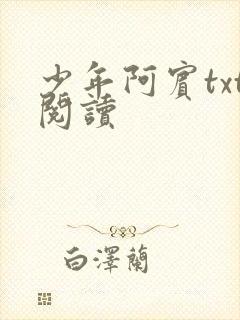 少年阿宾txt阅读