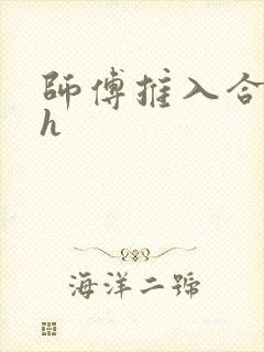 师傅推入合欢丸h封面
