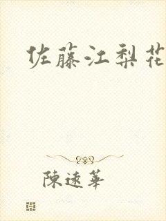佐藤江梨花封面