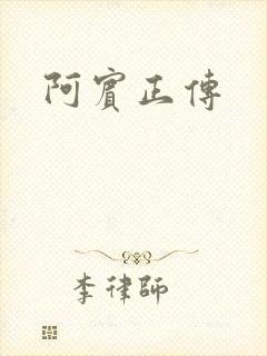 阿宾正传