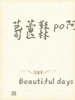 芭蕾鞋 po阿司匹林